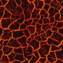 Realm of the Dinosaur Col. 110